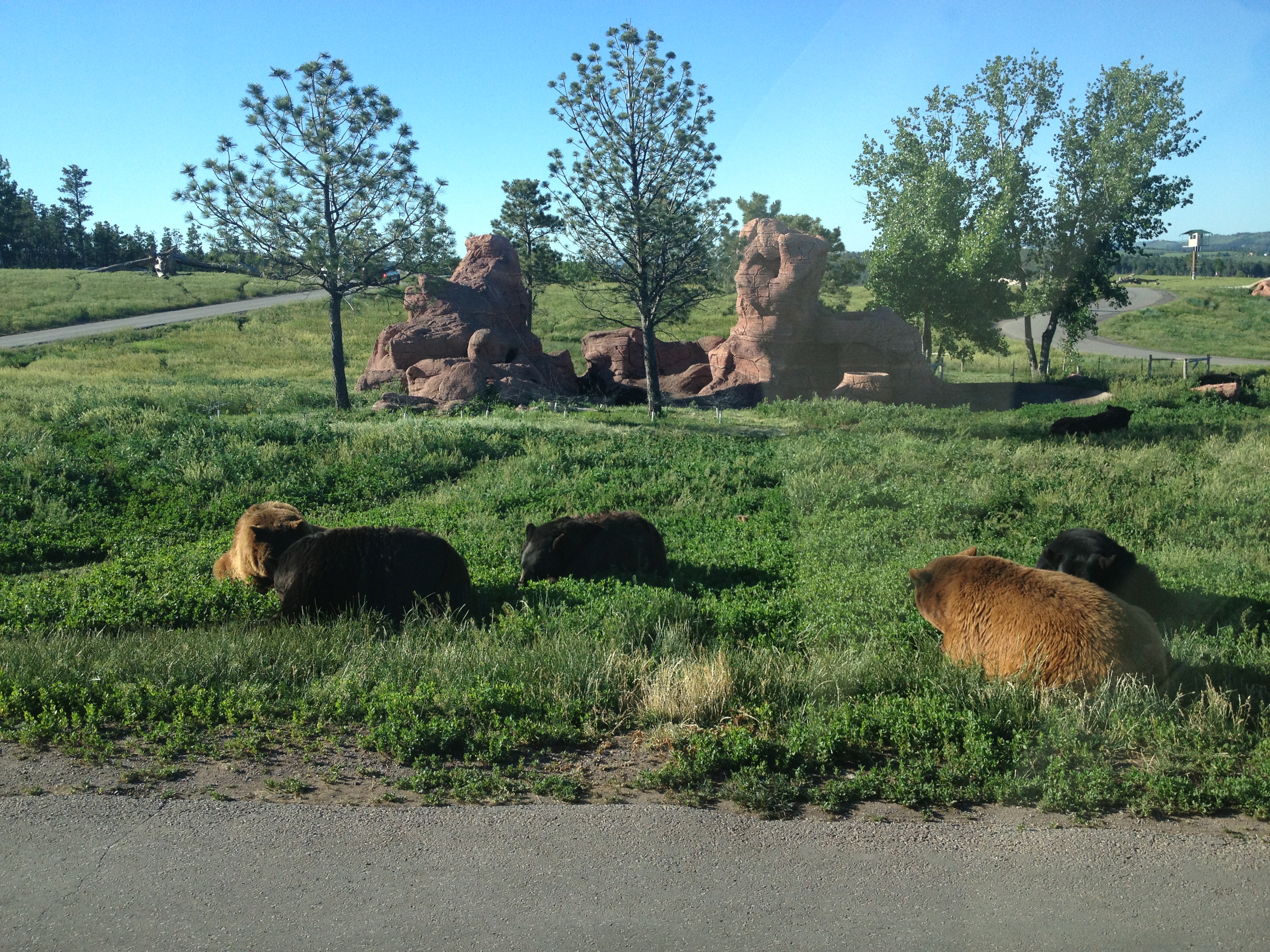 Black Bear Casino North Dakota